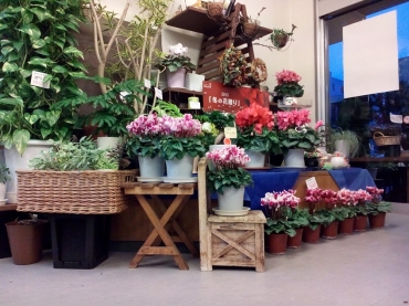 「フローリスト・グリーンハウス」　（宮城県仙台市若林区）の花屋店舗写真4
